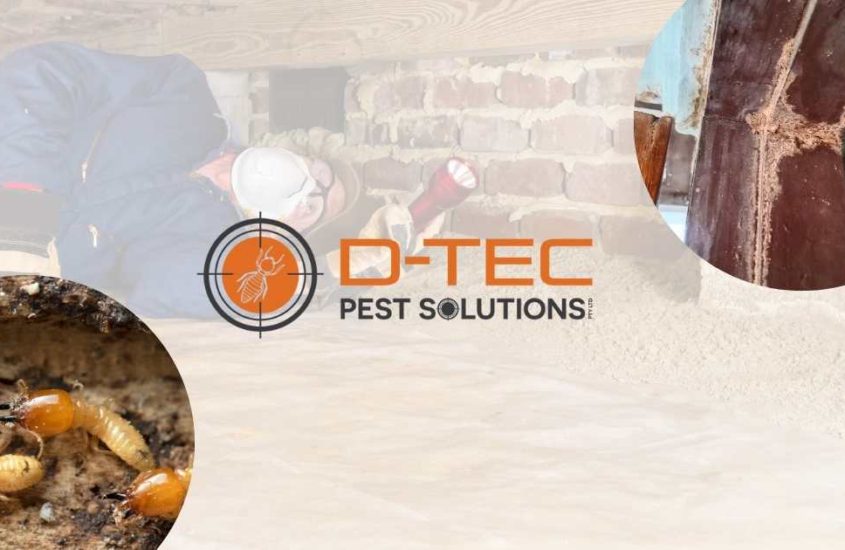 termite treatment brisbane area - blog banner
