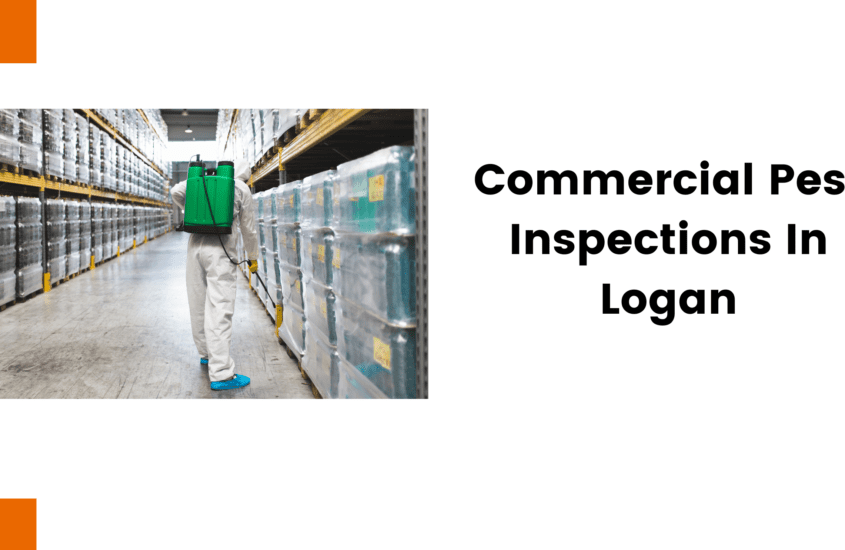 Commercial Pest Inspections in Logan