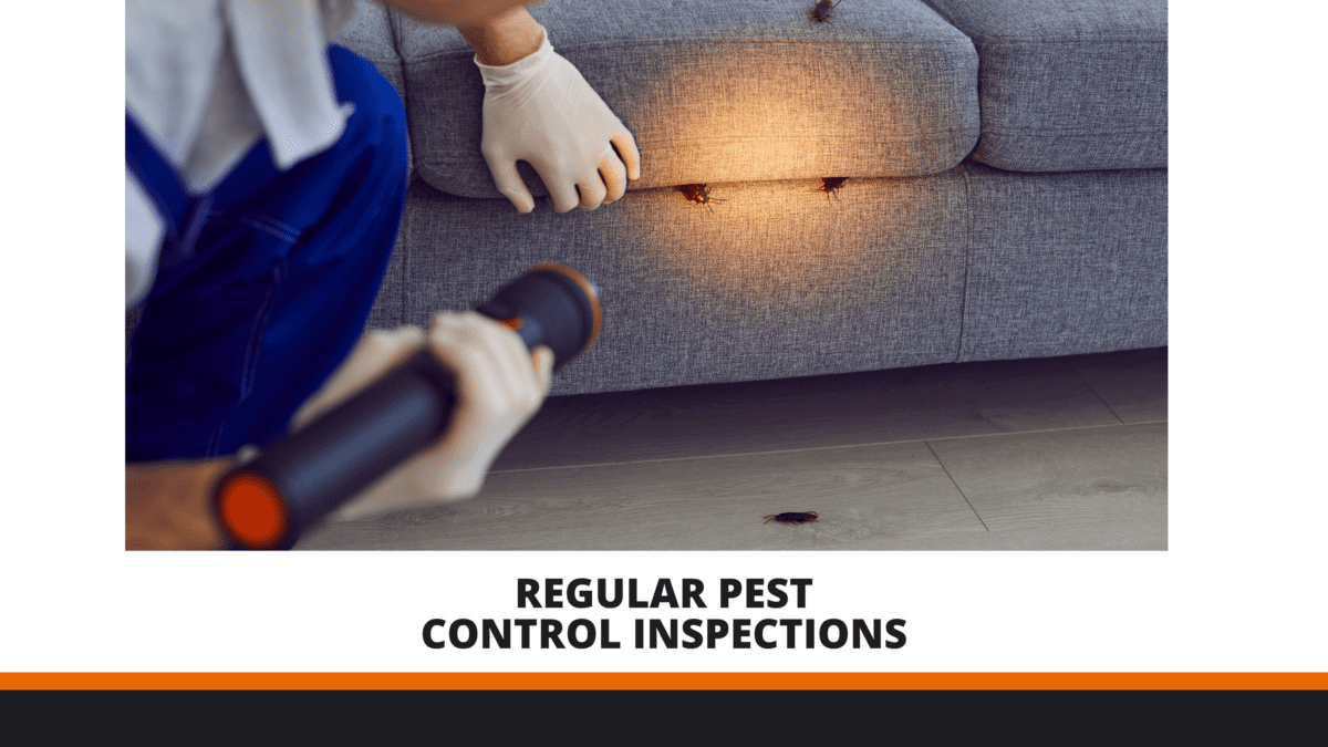 Regular Pest Control Inspections | D-Tec Pest Solutions