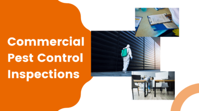 Commercial Pest Control Inspections