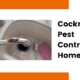 Cockroach Pest Control for Homes