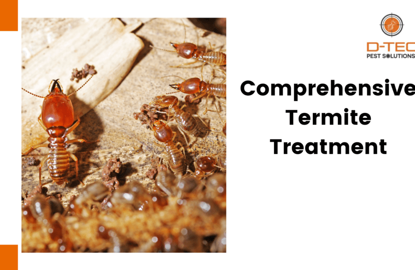 Comprehensive Termite Treatment