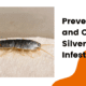 prevent silverfish infestations