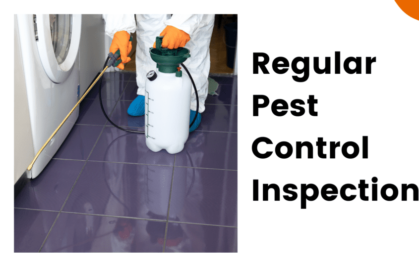 Regular Pest Control Inspections