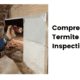 Comprehensive Termite Inspections