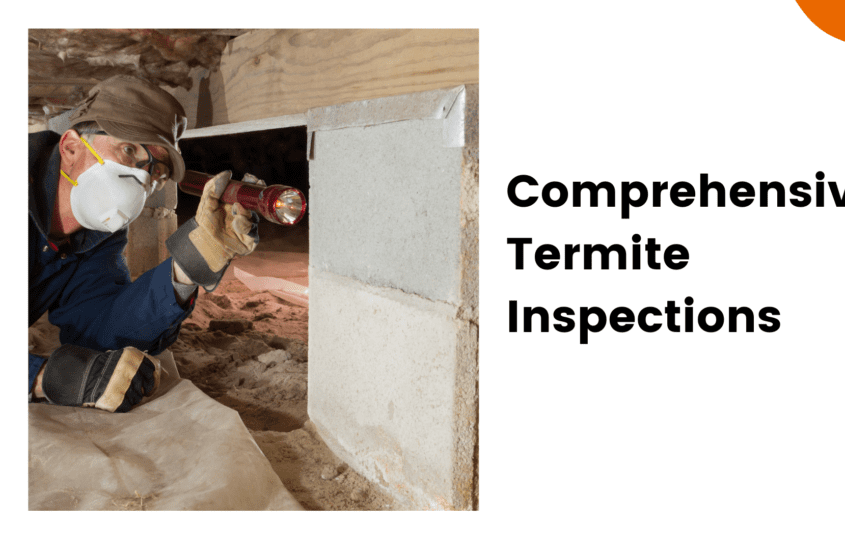 Comprehensive Termite Inspections