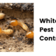 White Ant Pest Control