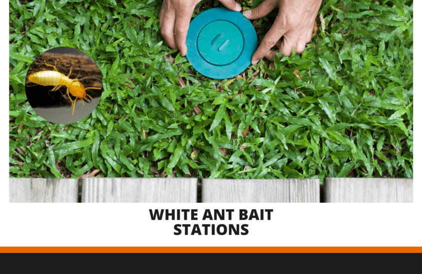 White Ant Bait Stations