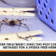 spider treatment pest control