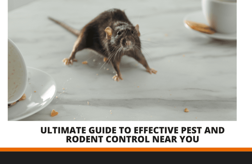 Pest and Rodent Control Near Me