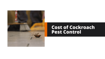 Cost of Cockroach Pest Control